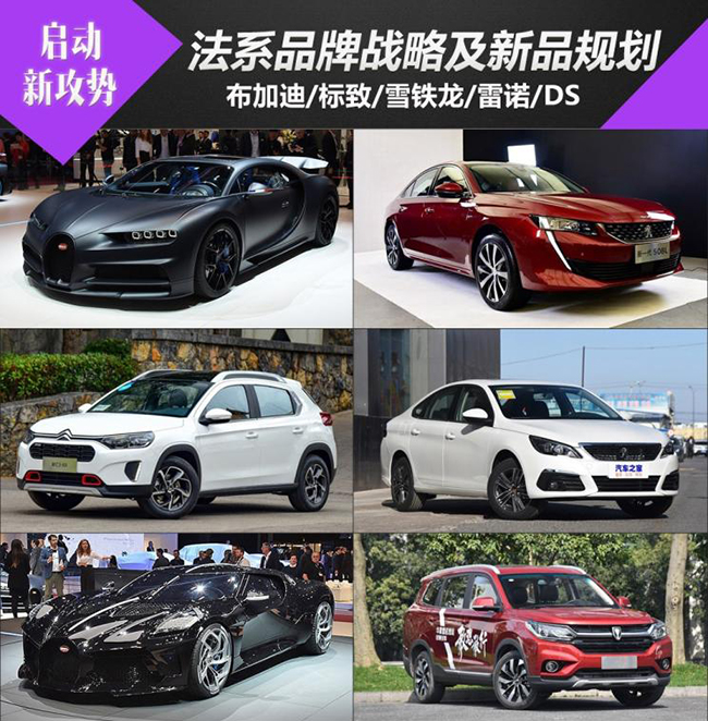 启动新攻势 法系品牌2019战略/产品规划 