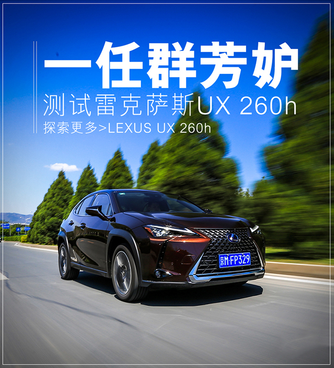 一任群芳妒 爱卡测试雷克萨斯UX 260h 