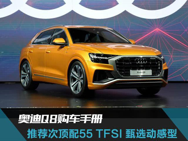 奥迪Q8导购手册 推荐次顶配55 TFSI 甄选动感型